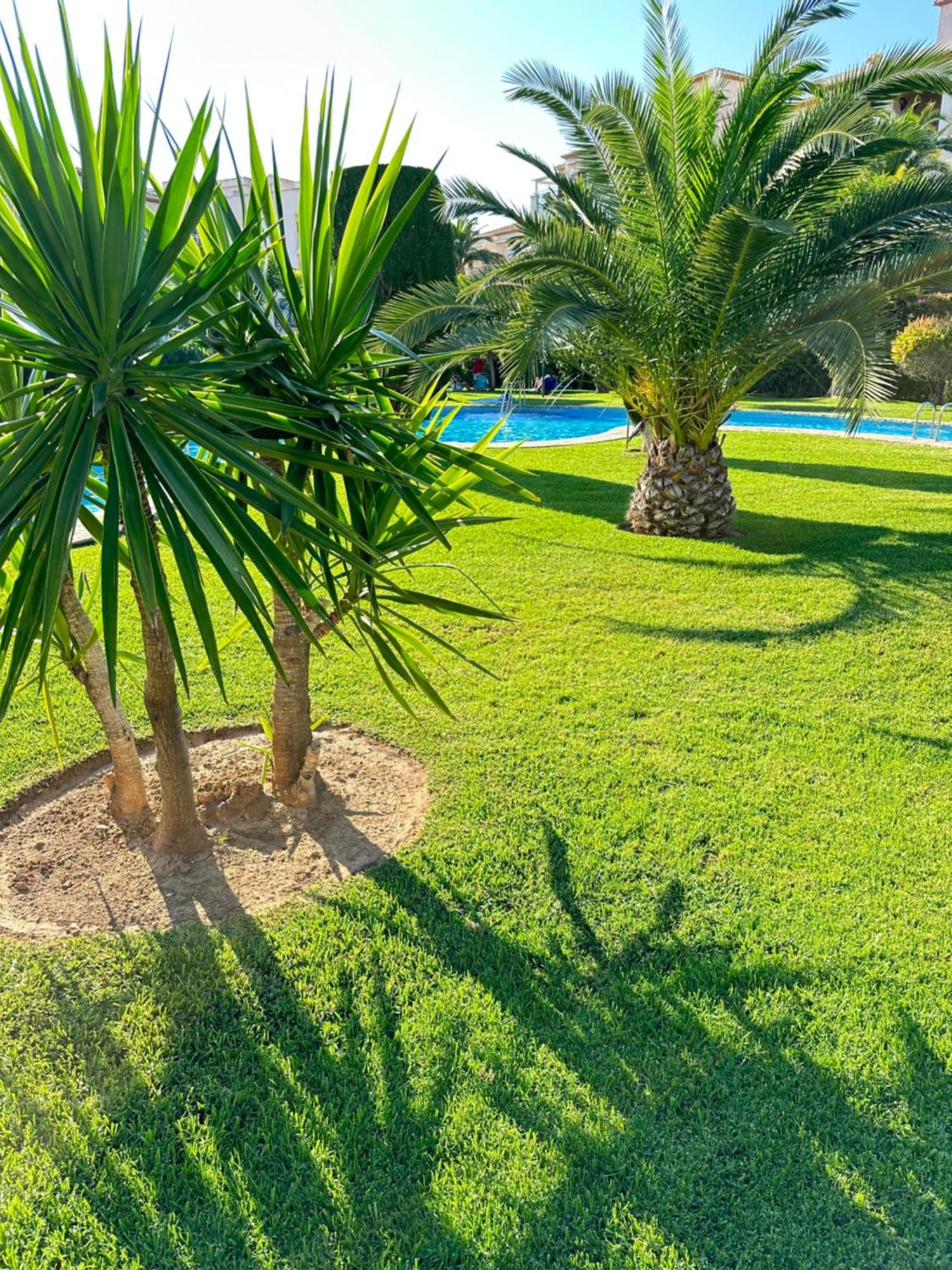 Platja de Larenal Alisa Costa Blanca 아파트 외부 사진